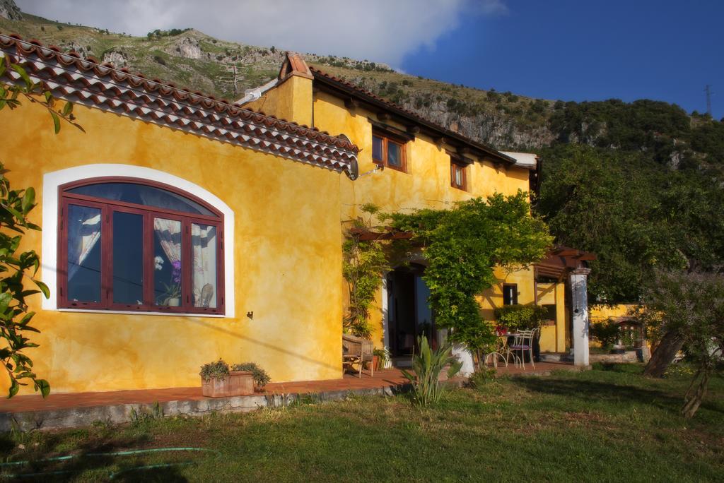 B&B Calandrella Maratea Phòng bức ảnh